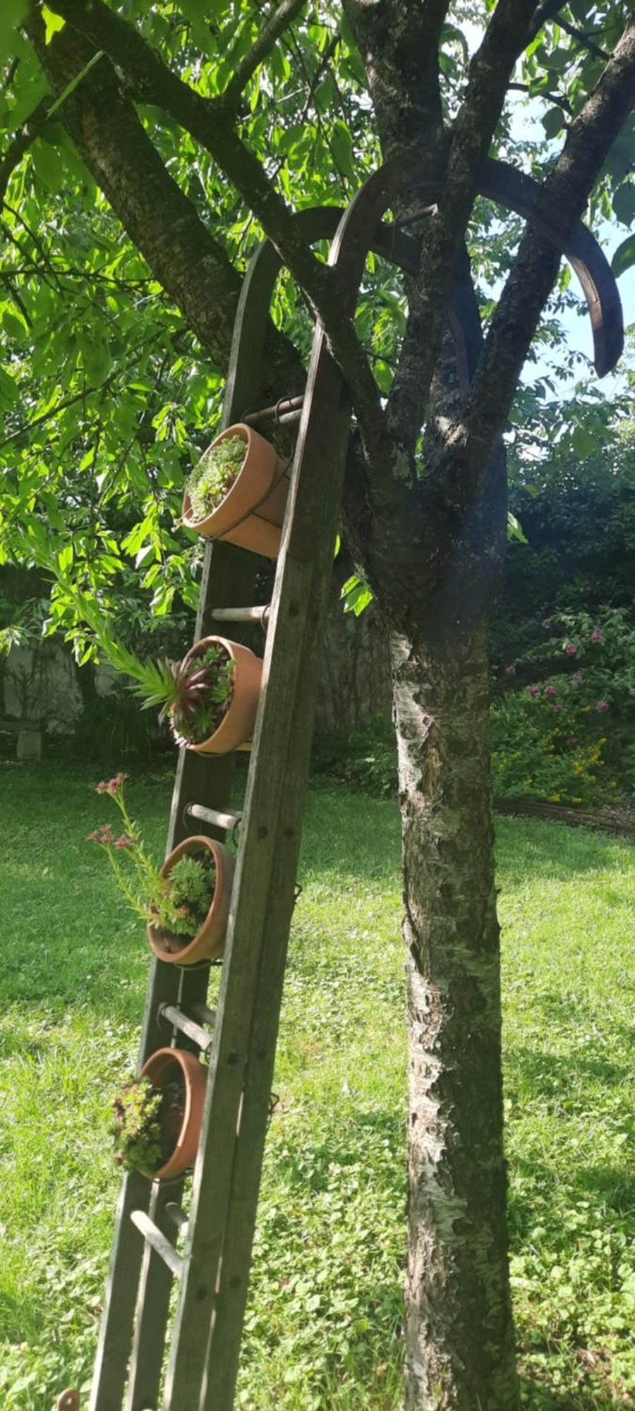 La Petardière Appartement *